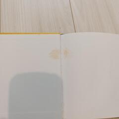 ミッフィーの絵本の画像