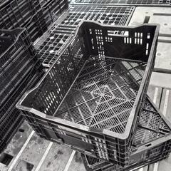 コンテナ　サンテナー　カゴ　35ケ有　バラ売可の画像