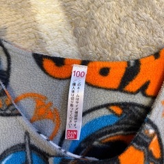 ベスト 100サイズの画像