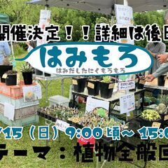 6/15　小さな多肉青空市「はみもろ」開催。