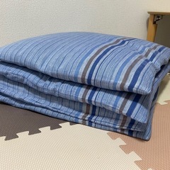 【5/29まで】座布団4枚　本綿　綿カバー付き
