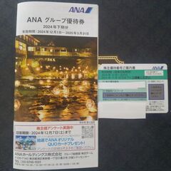 ＡＮＡ株主優待券　有効期限2025年11月30日