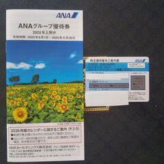 ＡＮＡ株主優待券　有効期限2026年11月30日