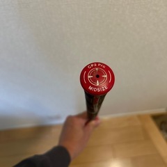 フォーティーン　ウェッジ　D030 RWの画像