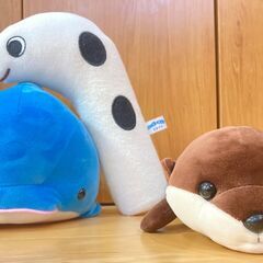 水族館ぬいぐるみ一式