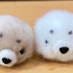 赤ちゃんゴマフアザラシ✕１体の画像