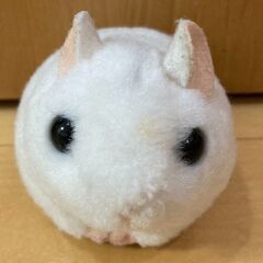 動くハムスター✕１体