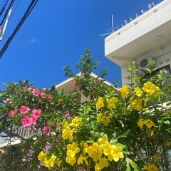 まずはお友達からお願いします☺️ - 那覇市