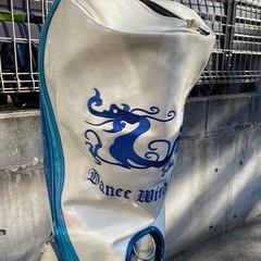 ダンスウィズドラゴン　キャディバック