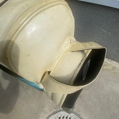 ダンスウィズドラゴン　キャディバックの画像