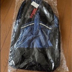 新品未使用　リュックサック　ブルーの画像