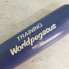 【非対面お渡しOK!】MIZUNO ミズノ Buw League ビューリーグ PRO MODEL プロモデル　 トレーニングバット TRAINING Worldpegasus WBT-300の画像