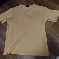 ユニクロのTシャツ