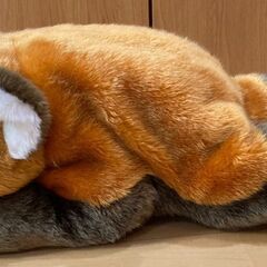 レッサーパンダ　ぬいぐるみの画像