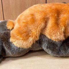 レッサーパンダ　ぬいぐるみの画像