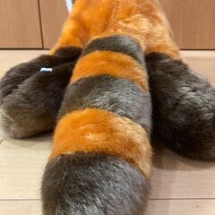 レッサーパンダ　ぬいぐるみの画像