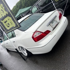 F50シーマ本物後期の画像