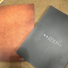 閃光のハサウェイの画像