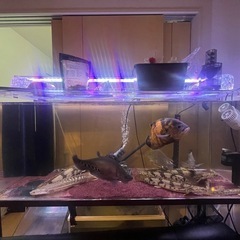 オーバーフロー水槽120×45×50