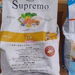 ペット　ドッグフード