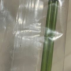 グリーン鉄線　長さ90cm 2本の画像