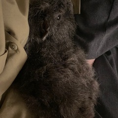  おじいちゃんです