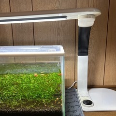 水槽セットの画像