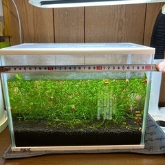 水槽セットの画像