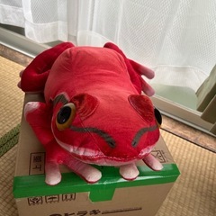 カエルぬいぐるみ