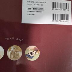 羊毛フェルトの本の画像