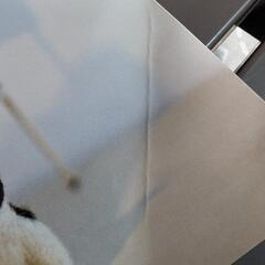 羊毛フェルトの本の画像