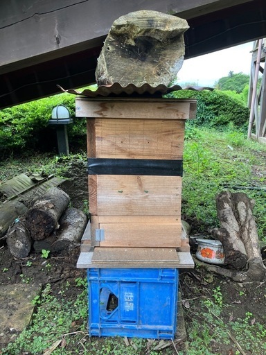 代理出品です。値下げしました、6月3日で終了です。