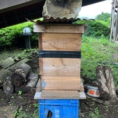 代理出品です。値下げしました。