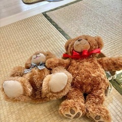 茶色いくまちゃん ぬいぐるみの画像