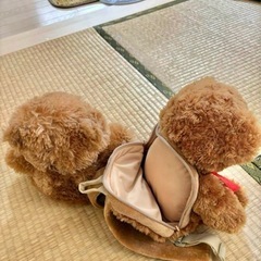 茶色いくまちゃん ぬいぐるみの画像