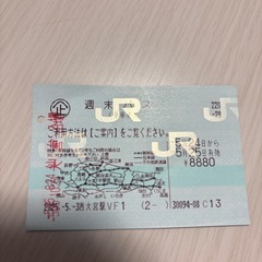 【５月25日限定】JR東日本乗り放題　週末パス　格安

