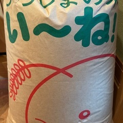 お話し中　
令和6年産　こしひかり玄米３０ｋｇ