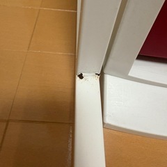 ゴミ箱&ラックの画像