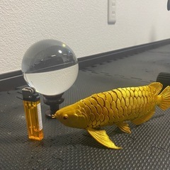 水晶とアロワナ