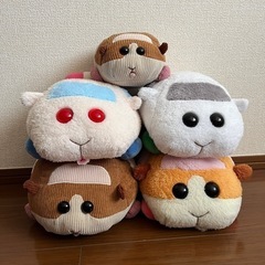 PUIPUIモルカー　ぬいぐるみ　５点セット