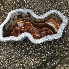 プラ池の画像