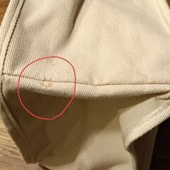 ポケモン　ミニトートバッグ（内側防水）の画像