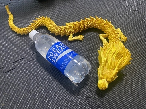 龍