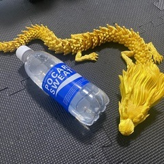 龍