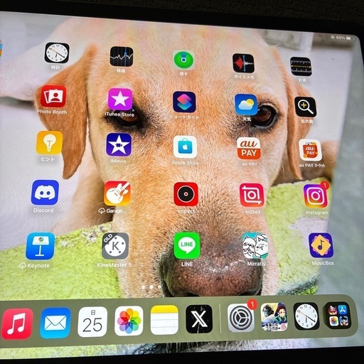 iPadPro 第4世代 256ギガ