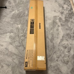 CASIO PX-S1000