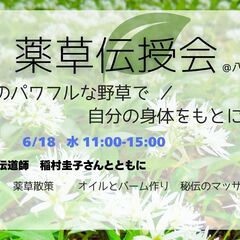 身近な雑草で自分の身体をもとにもどす薬草伝授会