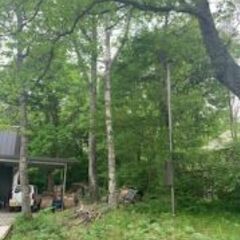 身近な野草で自分の身体をもとにもどす薬草伝授会 - ワークショップ
