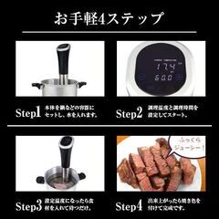 低温調理機 家庭用 WP001 SIS (D)の画像