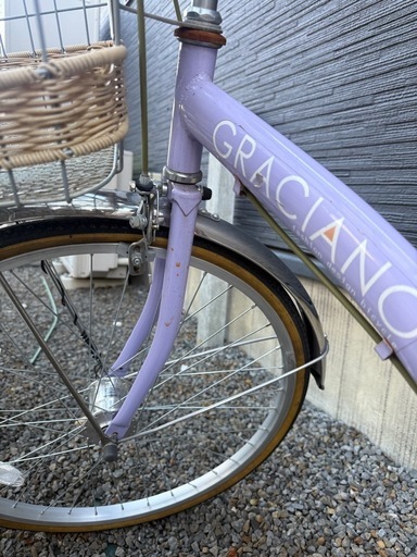 自転車　小学生　女の子　高学年
